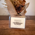 caribbean breeze wax melt